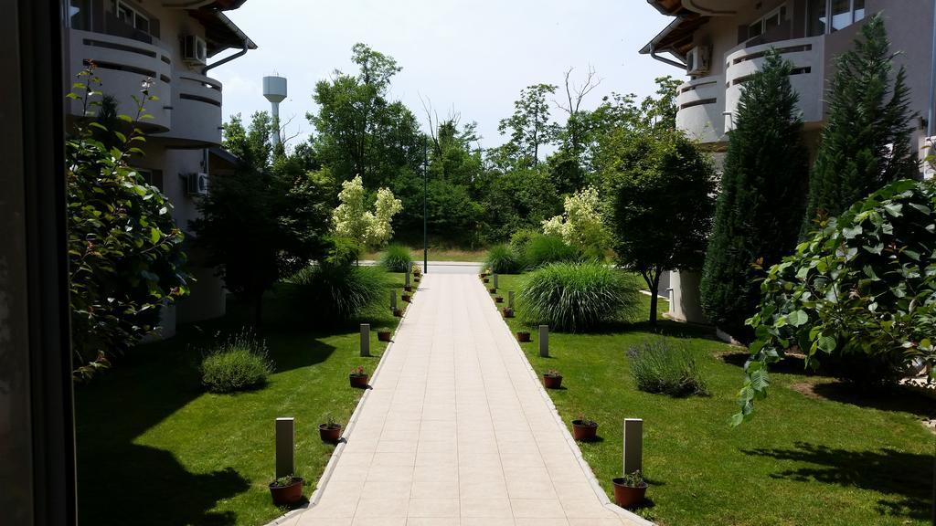 Vila Dincic Veliko Gradište Exterior foto
