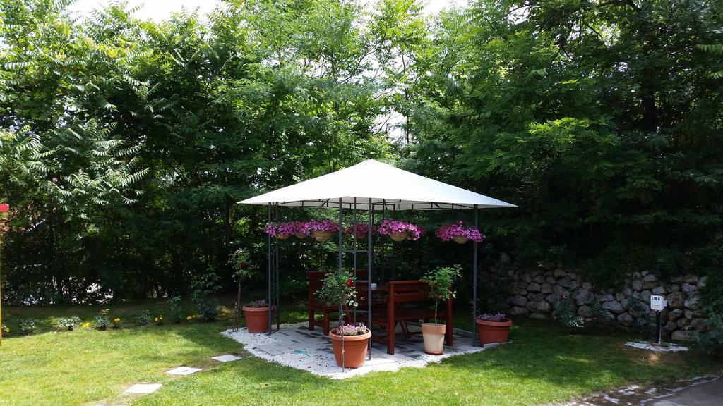 Vila Dincic Veliko Gradište Exterior foto