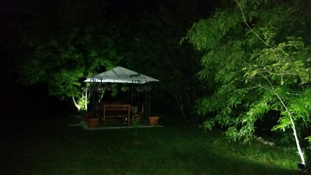 Vila Dincic Veliko Gradište Exterior foto