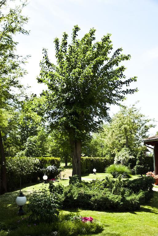 Vila Dincic Veliko Gradište Exterior foto
