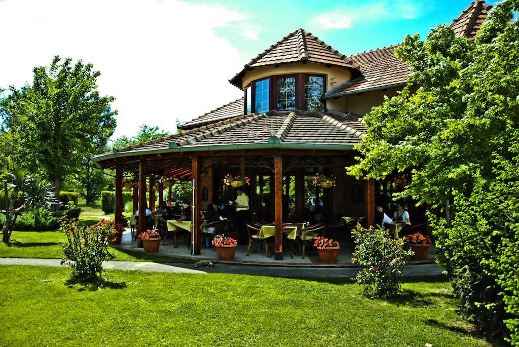 Vila Dincic Veliko Gradište Exterior foto